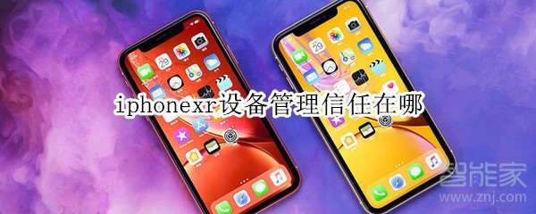 iphonexr设备管理信任在哪