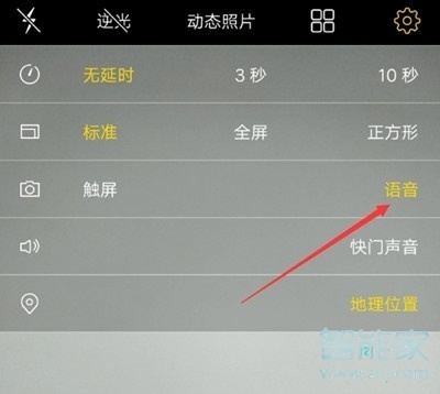 vivoZ3x怎么开启语音拍照