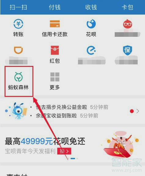 支付宝蚂蚁森林怎么换树的图案