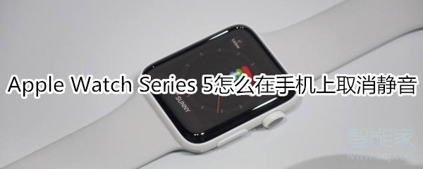 Apple Watch Series 5怎么在手机上取消静音