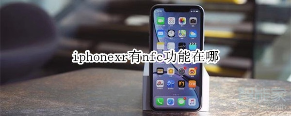 iphonexr有nfc功能在哪