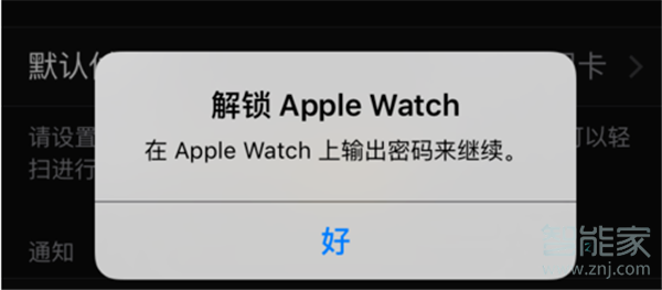 Apple Watch Series 5怎么使用支付功能