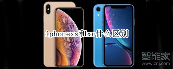 iphonexs和xr什么区别