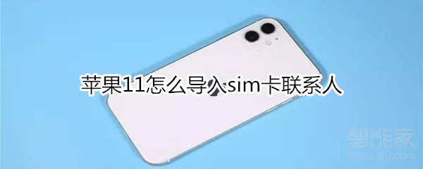 苹果11怎么导入sim卡联系人