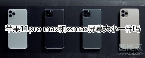 苹果11pro max和xsmax屏幕大小一样吗
