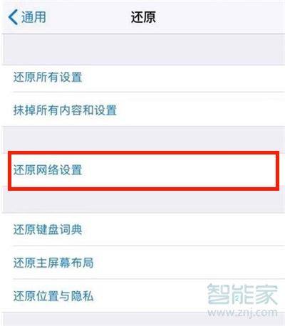 苹果怎么还原网络设置