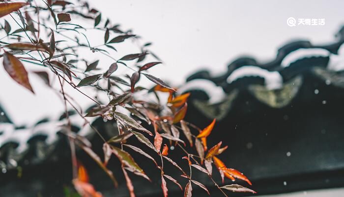 小雨的降雨量是多少 小雨的降水量为多少