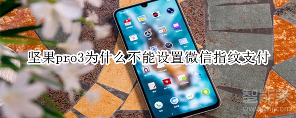 坚果pro3为什么不能设置微信指纹支付