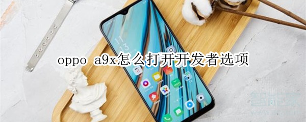 oppo a9x怎么打开开发者选项