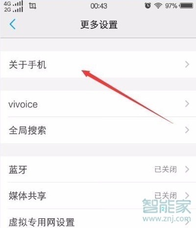 vivoy81s开发者选项在哪