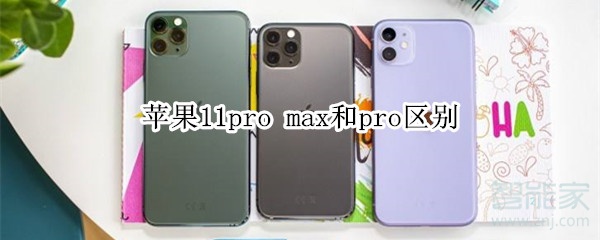 苹果11pro max和pro区别