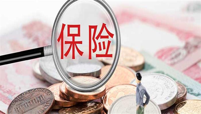 失业保险金的标准由省自治区直辖市人民政府确定不低于 失业保险金标准由省自治区直辖市人民政府确定不低于