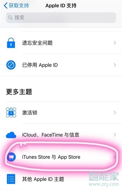 apple store自动扣费可以退回吗