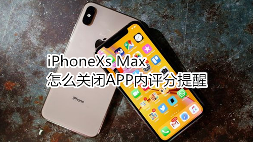 iPhoneXs Max怎么关闭APP内评分提醒