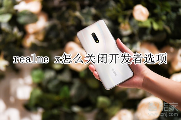 realme x怎么关闭开发者选项