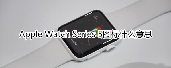 Apple Watch Series 5图标什么意思