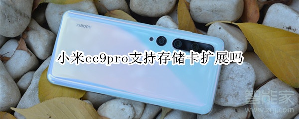 小米cc9pro支持存储卡扩展吗