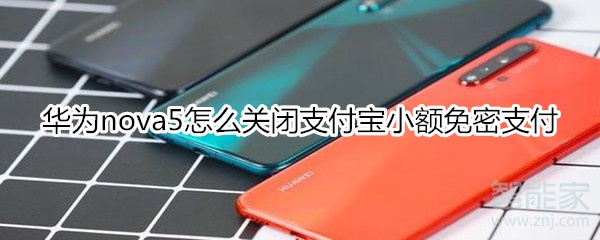 华为nova5怎么关闭支付宝小额免密支付