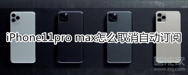 iPhone11pro max怎么取消自动订阅