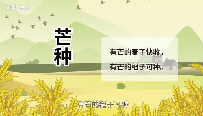 芒种节气的含义 24节气中的芒种的含义是什么