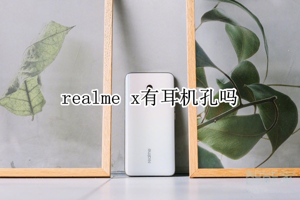 realme x有耳机孔吗