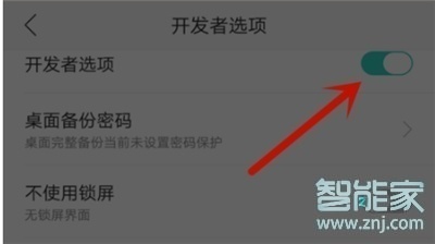 realme x怎么关闭开发者选项