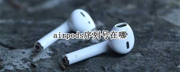 airpods序列号在哪