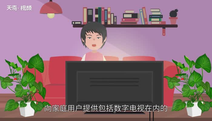 iptv什么意思 iptv的意思