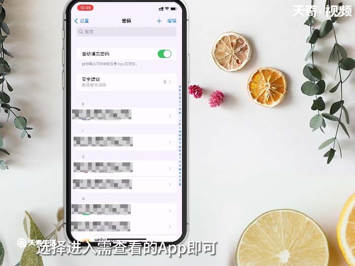 苹果已储存密码在哪找 苹果已储存密码如何查找