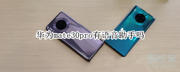 华为mate30pro有语音助手吗