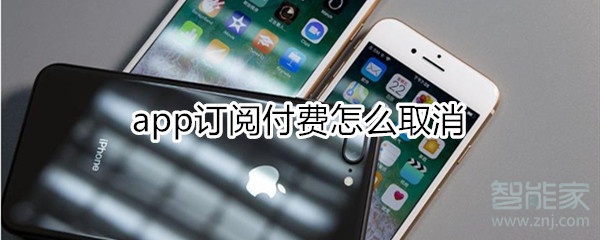 app订阅付费怎么取消