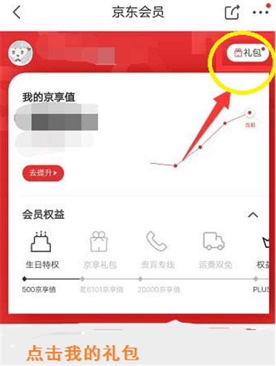 京东生日礼包在哪里领