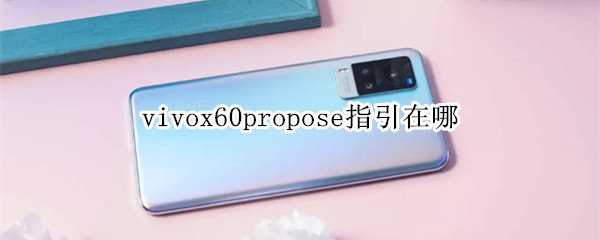 vivox60propose指引在哪