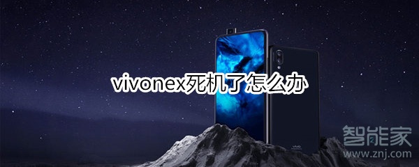 vivonex死机了怎么办