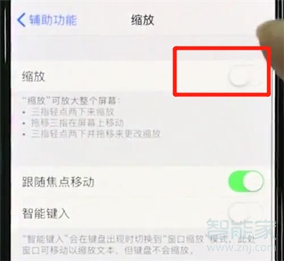 iphone11怎么使用缩放功能