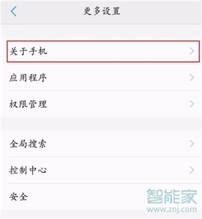 vivo NEX 3s怎么打开开发者选项