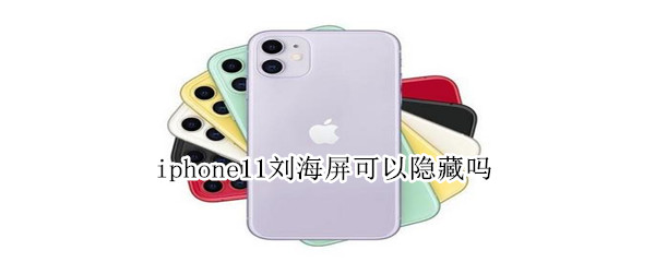 iphone11刘海屏可以隐藏吗