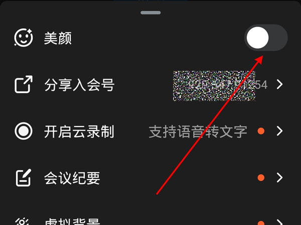 钉钉视频可以开美颜吗