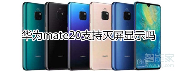 mate20支持灭屏显示吗