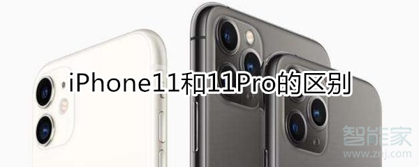 iphone11 pro 区别