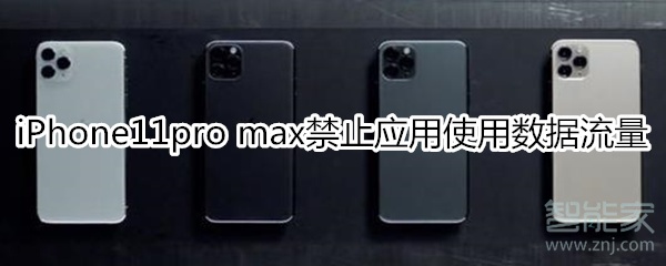 iPhone11pro max怎么禁止应用使用数据流量