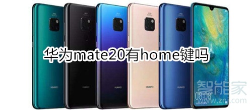 华为mate20有home键吗