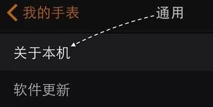 苹果手表怎么改名字