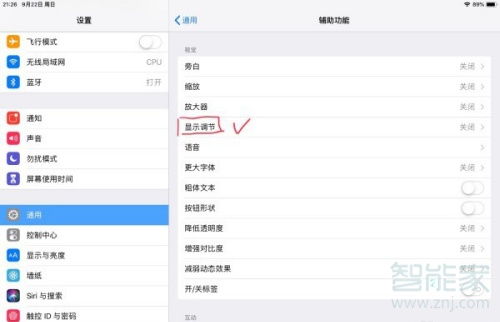 ipad亮度自动调节关闭