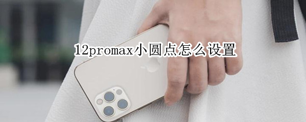 12promax小圆点怎么设置