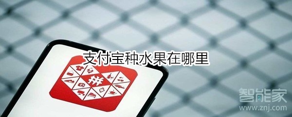 支付宝种水果在哪里