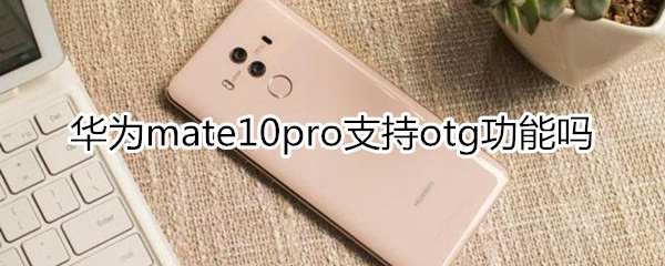 华为mate10pro支持otg功能吗