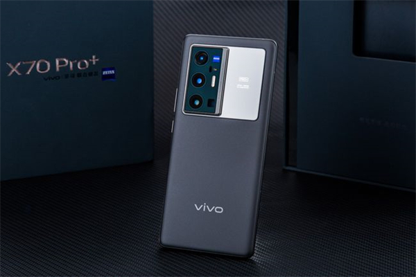 vivox70pro+有微云台吗