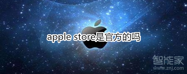 apple store是官方的吗