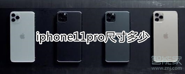 iPhone11pro尺寸